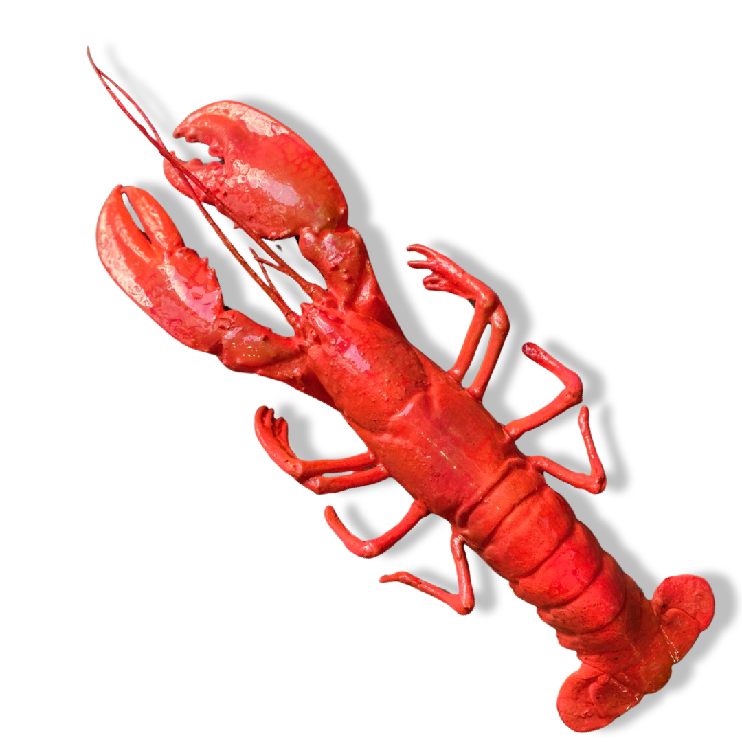 Kreeft decoratie fel koraal