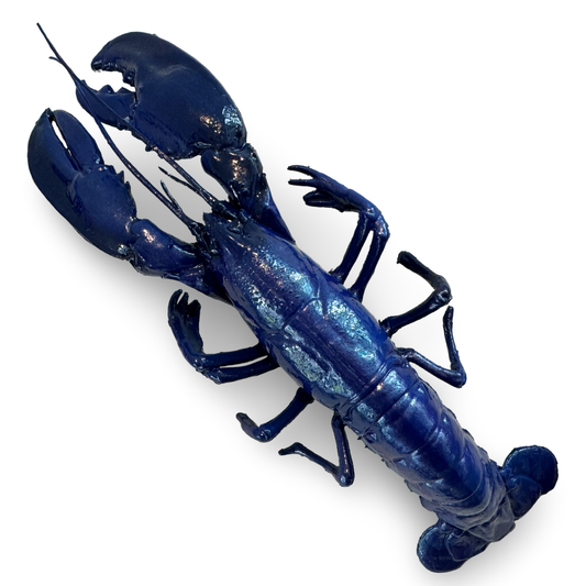 Kreeft wanddecoratie - Azzurro blauw