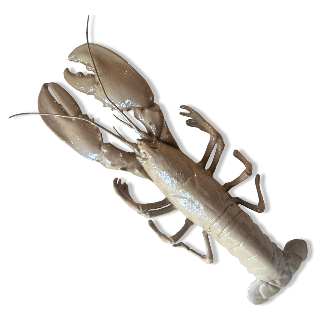 Wanddecoratie kreeft - Beige/parelmoer - 50 cm