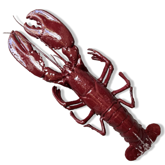 Kreeft wanddecoratie - bordeaux - 50 cm