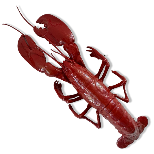 Kreeft wanddecoratie - rood - 50 cm