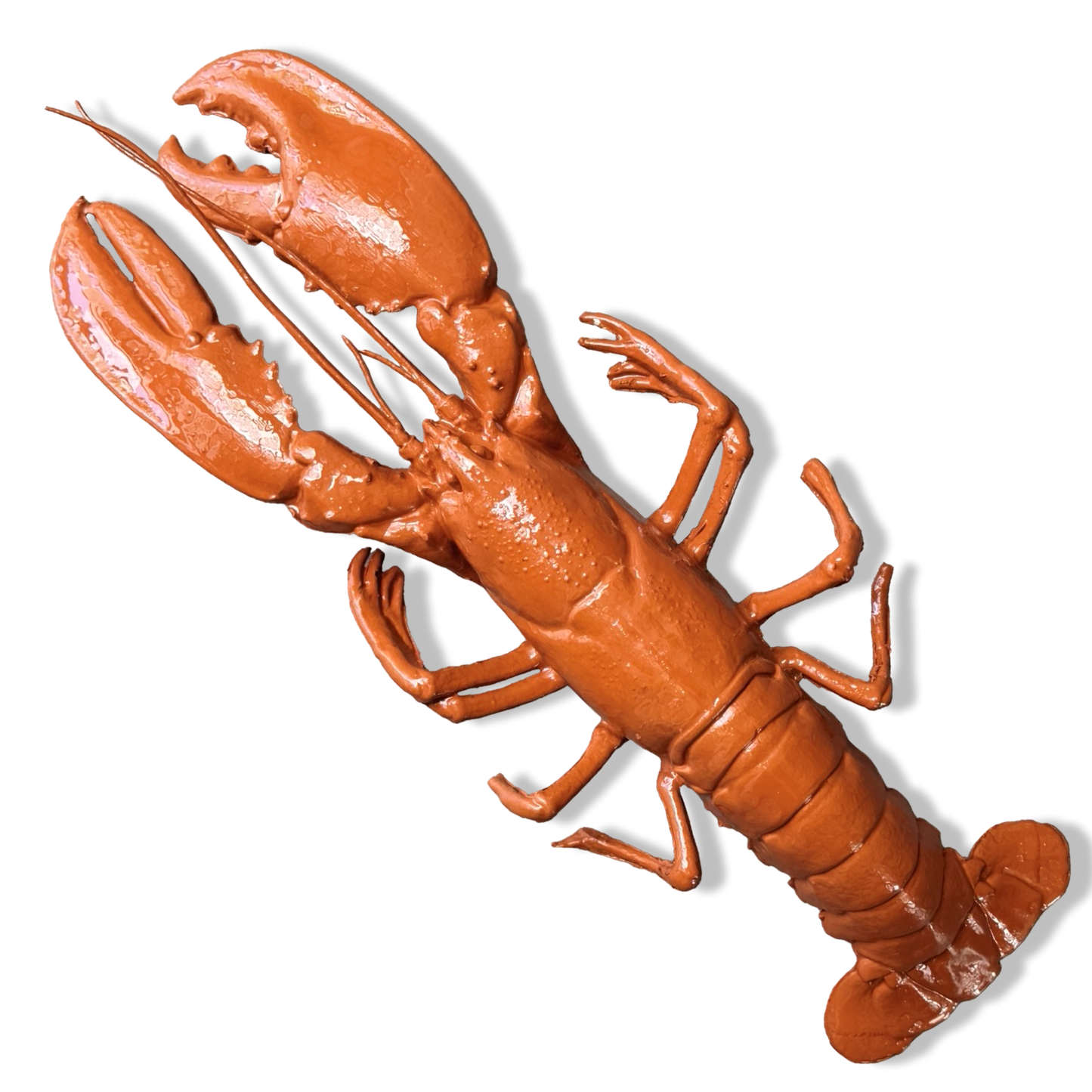 Kreeft wanddecoratie - terracotta - 50 cm