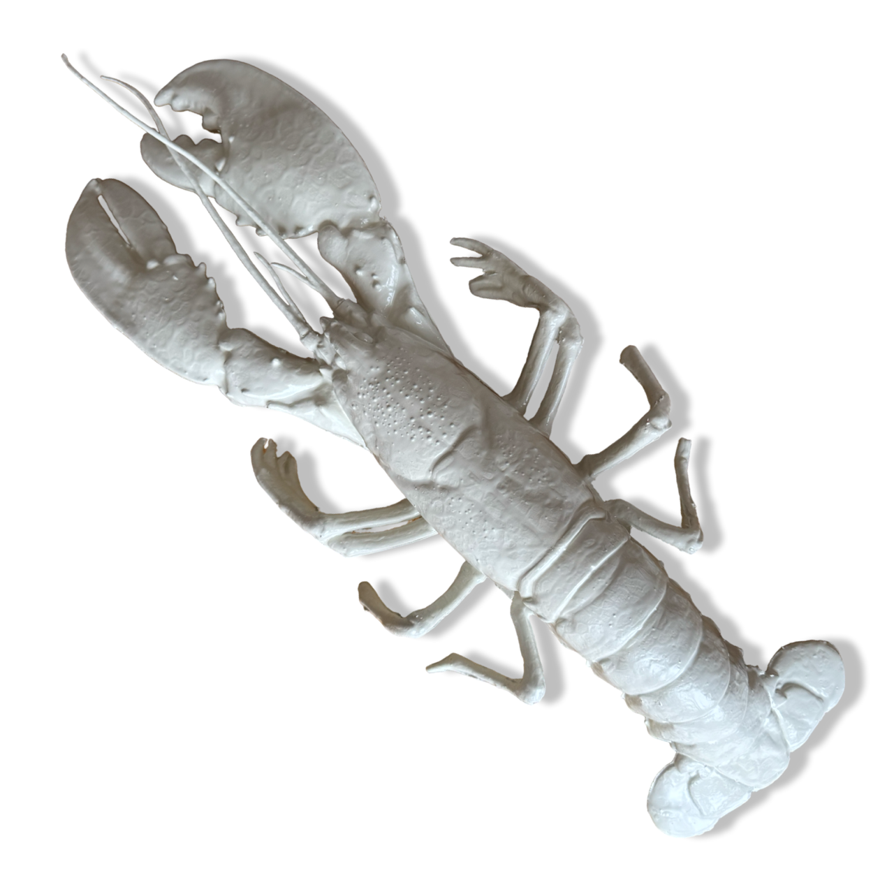 Wanddecoratie 3d kreeft - Wit - 50 cm