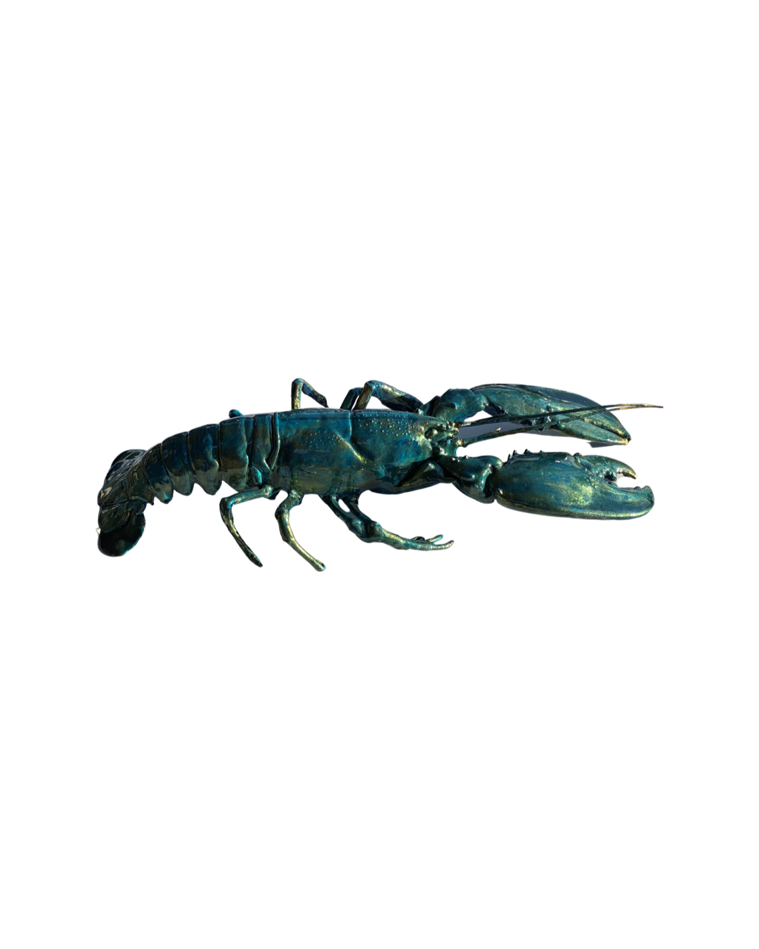 Kreeft decoratie blauw-goud