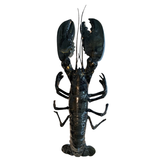 Kreeft decoratie zwart-goud